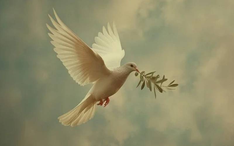 Sudan’s proposal to UN described as “credible foundation for sustainable peace”