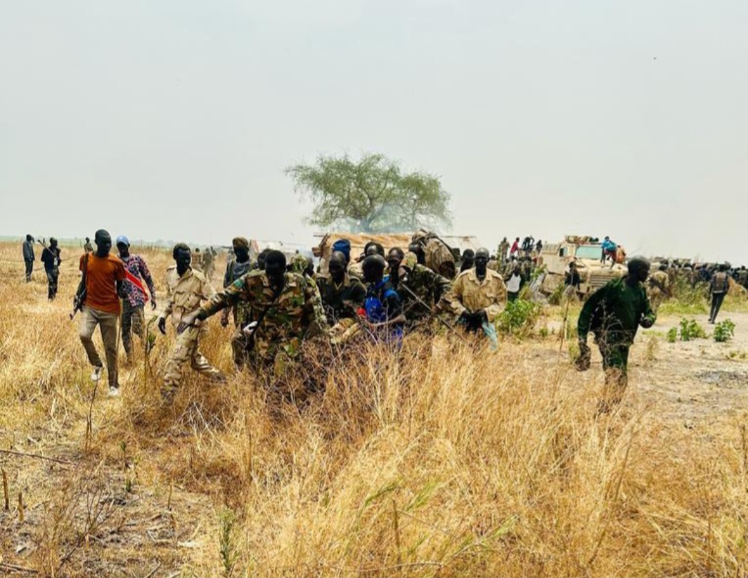 The Rise of Gourmet Street Food: Trends and Top Picks