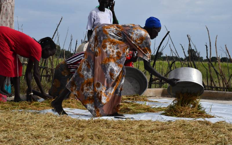 Politicians in South Sudan require psychological support to avoid engaging in shortcut politics.
