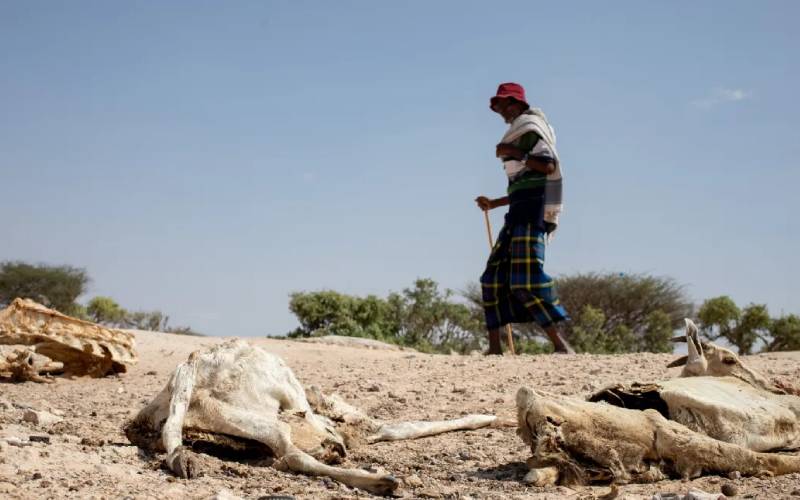 Climate change victims neglected in Somalia, report