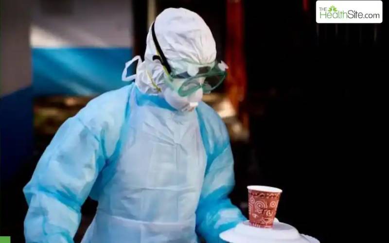 The Rise of Gourmet Street Food: Trends and Top Picks