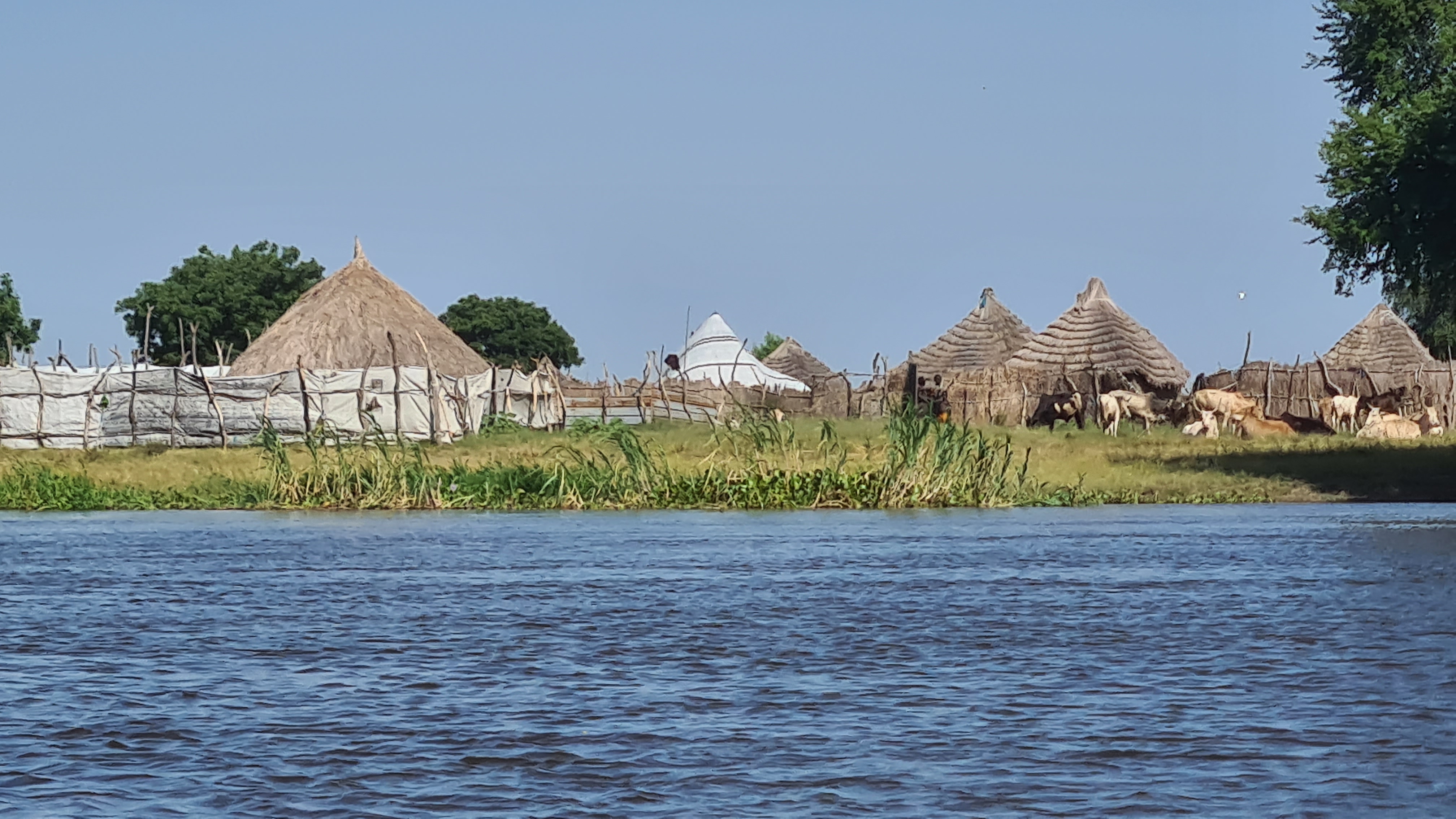 Lugubrious Reflections from Juba: South Sudan’s Youth are Drowning in Violence and Addiction while Mental Health Remains Neglected